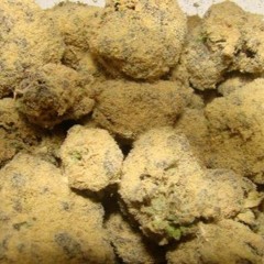 Tame The Tongue- LIL nicky sCArfo x ABORR