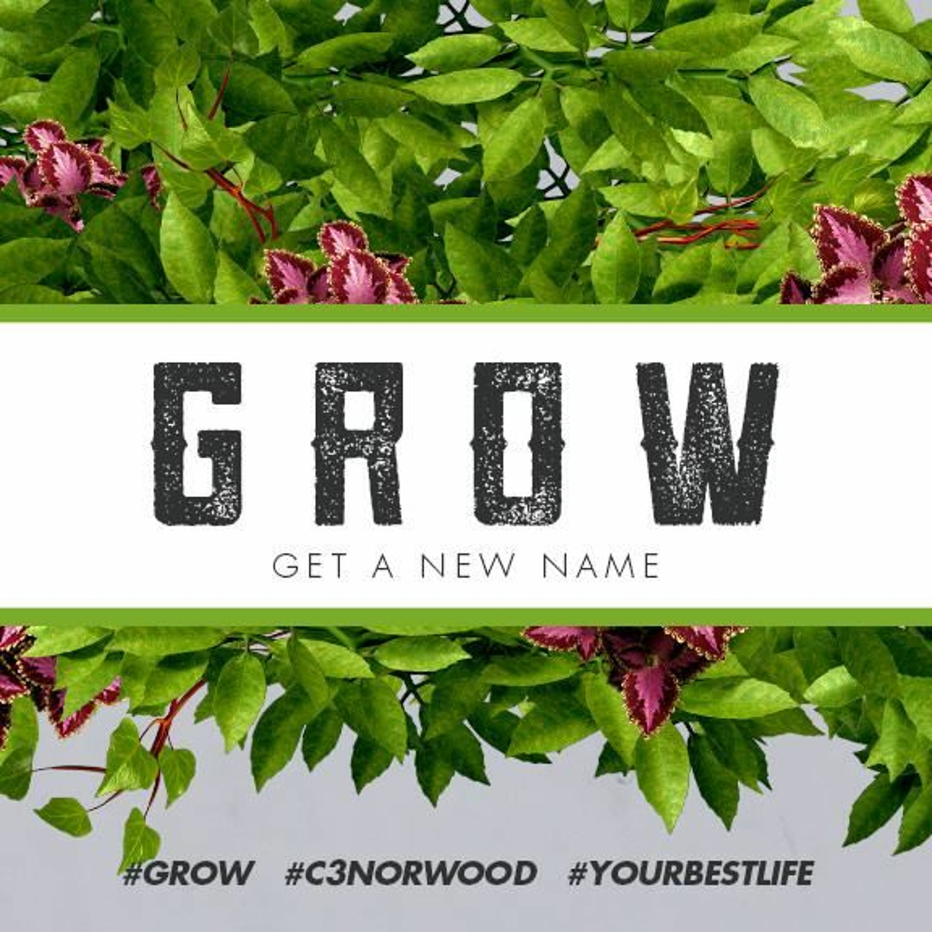 Grow: Get A New Name (Part 4) | Mathan - October 4th 2015 episode artwork