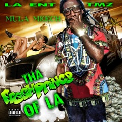 DOLLA $IGNS PRODUCED BY YL ON DEM 808s *********HOTT SINGLE RELEASE*********