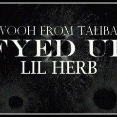 FYED UP RMX FT LIL HERB