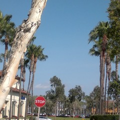 ROXANNE  NEVALAND [SOSA SOSICC,SYN SOUNDZ,BILLIE SLUM]