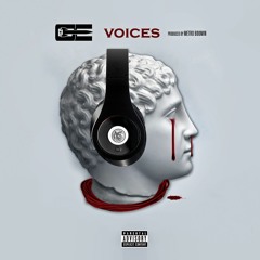 Voices [Prod. By @MetroBoomin ]