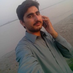 shazil