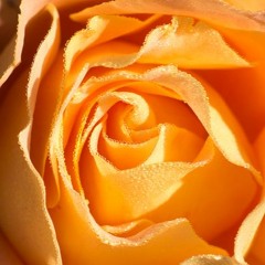 Blog Ten - Good - Friends