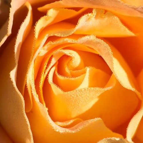 Blog Ten - Good - Friends