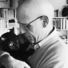 Foucault's Book of Practical Black Cats