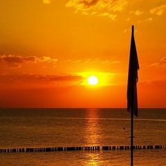 Every Time I Look At The Sunset, It Reminds Me Of How Stupid My Life Is