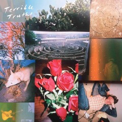 Terrible Truths - Uptight
