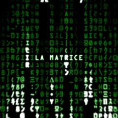 Rabbit fury - What's the matrice  (FREE DOWNLOAD 320kps )