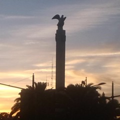 Triphaser - L'oiseau De L'aube(Original Mix)