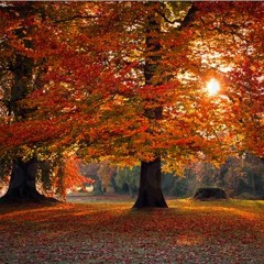 au début du mois d'octobre