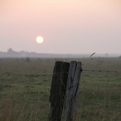 Wenns Herbstlaab_foid