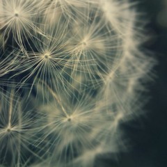 Marvey - Something Small [free download]