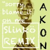 Sorry Blame It On Me Akon Slinko Tropical House Remix Free Download Mp3