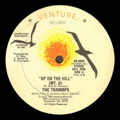THE TRAMMPS - Up On The Hill (Mt.U) (Instrumental) 1983