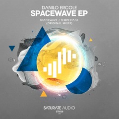 Danilo Ercole - Spacewave (Original Mix)