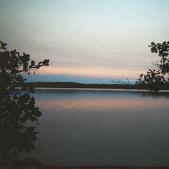 two doves // dirty projectors