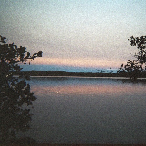 two doves // dirty projectors