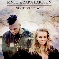 MNEK & Zara Larsson - Never Forget You (r<3mix)