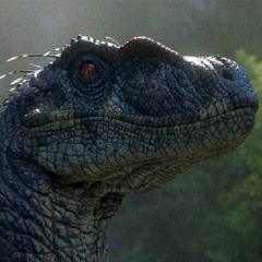 Saunter -- Raptor(VIP)