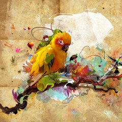 TIGSource XLIII: Avant Garde