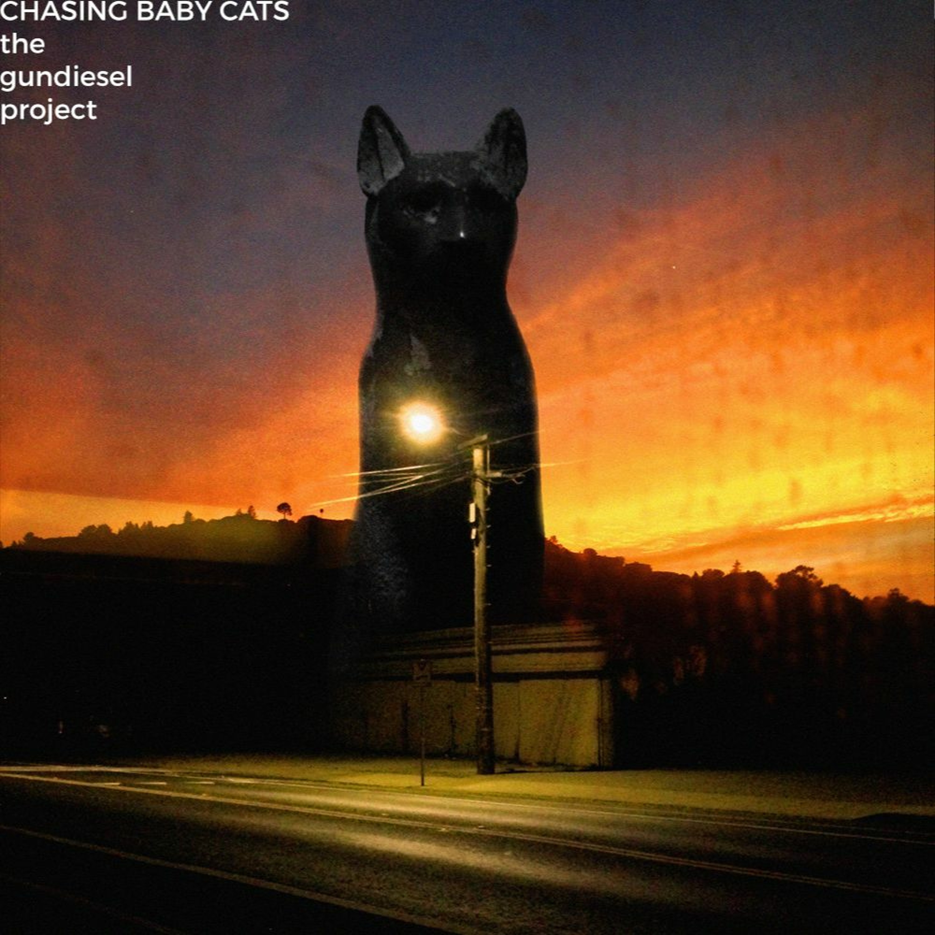 Chasing Baby Cats episode artwork
