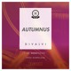 on Divalvi – Autumnus(Original Mix) [FREE DOWNLOAD]