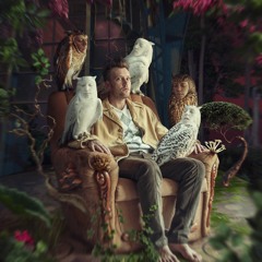 Tuasho - personal Forest