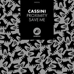 Cassini - Proximity