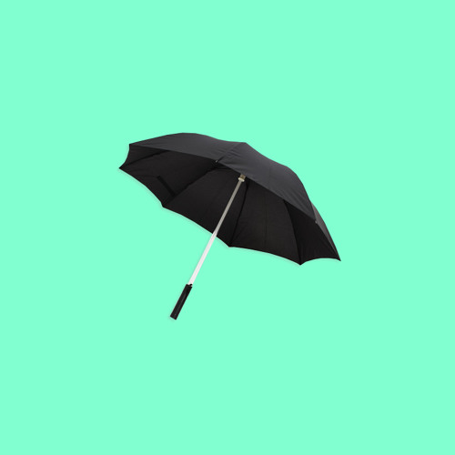 umbrelloid 41