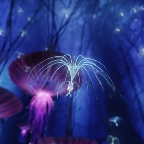 Stream Psychedelic experience | Listen to Psychill playlist online for ...