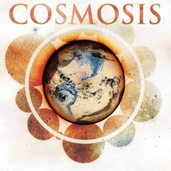 Organon By Cosmosis