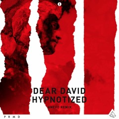 Dear David - Hypnotized (ANEVO Remix)