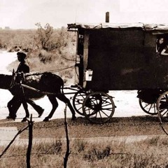 Caravane-Raphael Ukulele cover