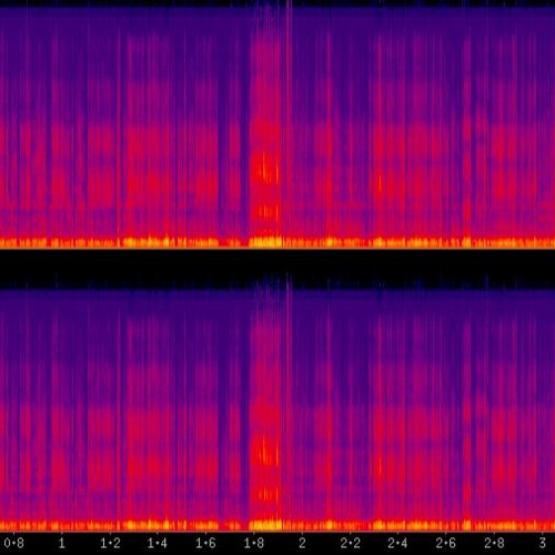 Terence McKenna Interview
