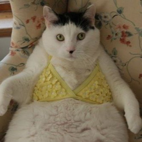 artworks-000131703453-3d2rhd-t500x500.jp