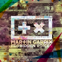 Martin Garrix - Forbidden Voices (DEDDVIRON Remix)