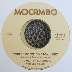 THE MIGHTY MOCAMBOS with LEE FIELDS - WHERE DO WE GO FROM HERE