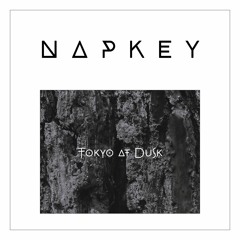 Napkey - Tokyo At Dusk