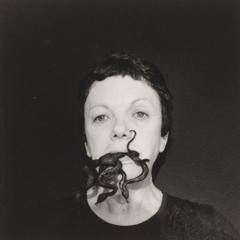 Too Many Holes And Not Enough Spoons