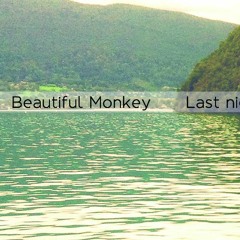Beautiful Monkey