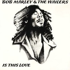 Bob Marley - Is This Love (Bademah Dub)