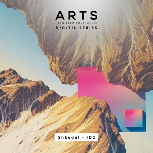 Shkedul - ID22 (Plukkk Remix) [A R T S]