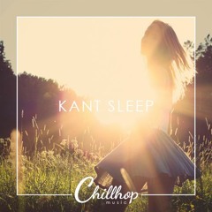 Kant Sleep - She's My Jazz