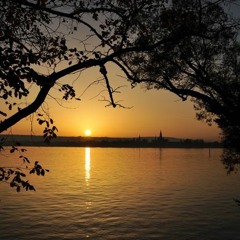 Autumn Sun