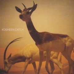 Kosheen - Catch (Ferry Corsten Vocal Remix)