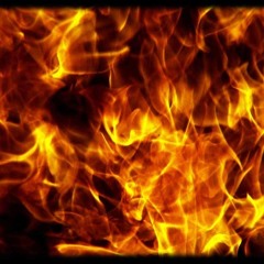 My Leslie's On Fire!