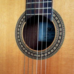 RSGL01 v8 Classical Acoustic Guitar Demo - Aranjuez Entire 2nd Movment (by Rodrigo)