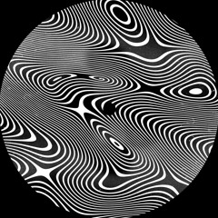 TRANSIT003  //  Lo Shea - Root Causes