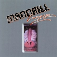 Mandrill - Put Your Money Where the Funk Is